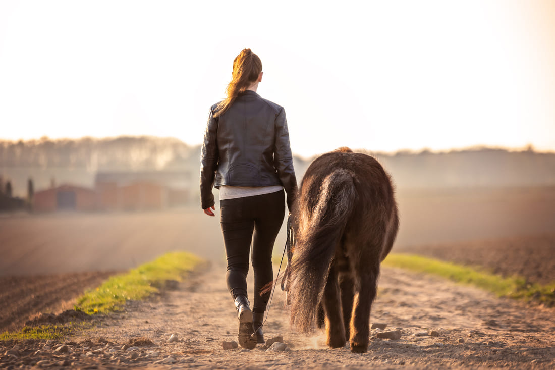 Tabea-Richter-Achtsames-Pferdetraining Tabea-Richter-Achtsames-Pferdetraining-Frau-und-Pony-gehen-in-Sonnenuntergang