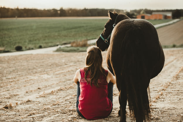 achtsames-pferdetraining-tabea-richter ein dunkles Pferd und eine Frau mit langen Haaren und rotem Oberteil sitzen auf dem Feld und schauen in die Ferne zu Sonnenuntergang