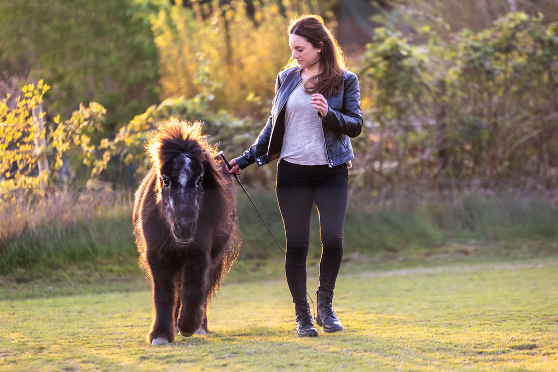 Tabea Richter, Achtsames Pferdetraining, Coaching für Pferd und Mensch, Strolch mit Tabea, Harmonie Tabea Richter, Achtsames Pferdetraining, Coaching für Pferd und Mensch, Strolch mit Tabea, Kommunikation