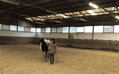 Achtsamkeit im Pferdetraining: So gestaltest du dein Verhalten und den Umgang mit deinem Pferd bewusster (und festigst eure Beziehung)